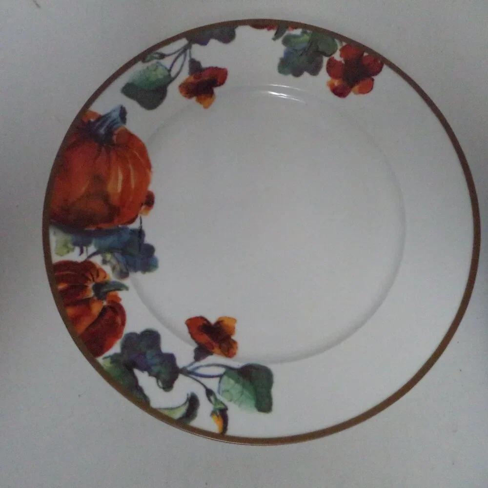 Ciroa Pumpkin Autumn Fall Thanksgiving Holiday Dinner Plate Set 6 Porcelain 11